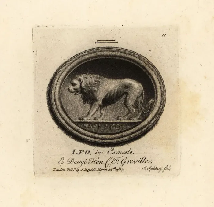 Framed Print : Lion in cornelian and dactylotheca Framed Print : Lion in cornelian and dactylotheca