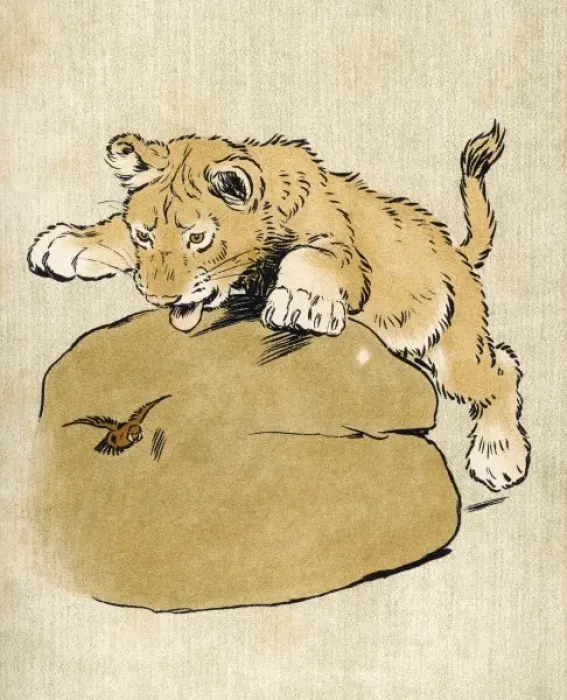Framed Print : Lion Cub Aldin 1907 Framed Print : Lion Cub Aldin 1907