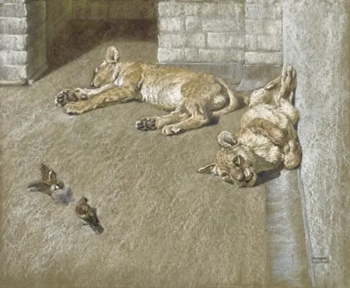 Framed Print : Lion cubs and sparrows Framed Print : Lion cubs and sparrows