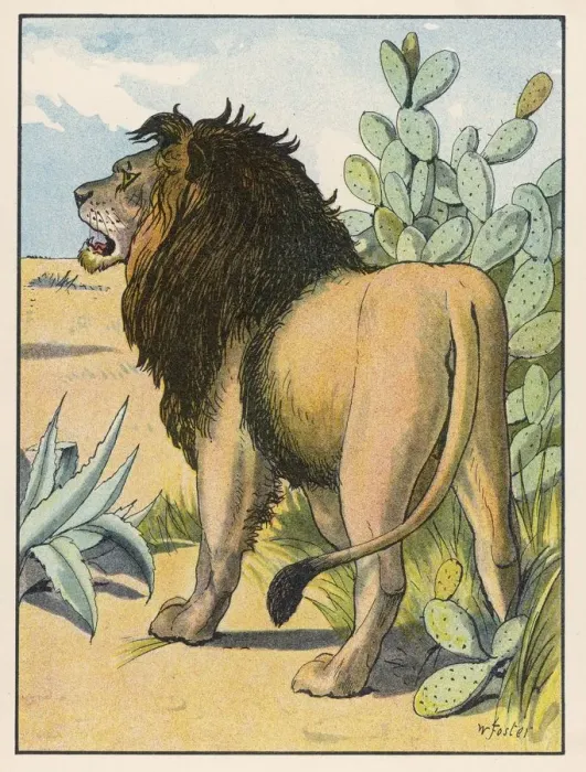 Framed Print : Lion in the Desert Framed Print : Lion in the Desert