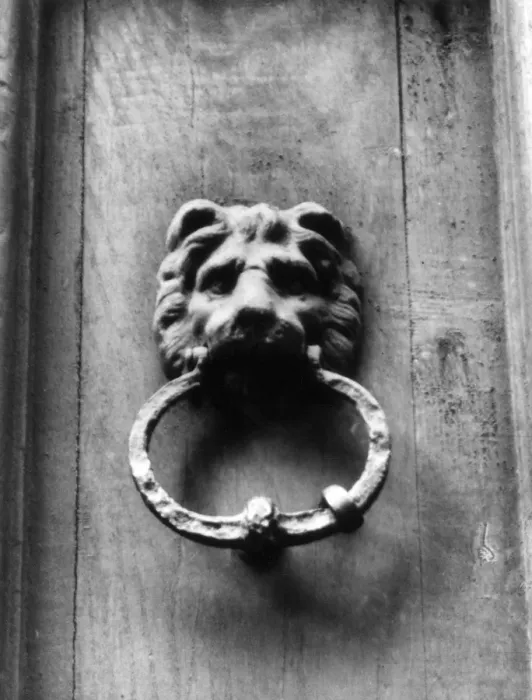 Framed Print : Lion Doorknocker Framed Print : Lion Doorknocker
