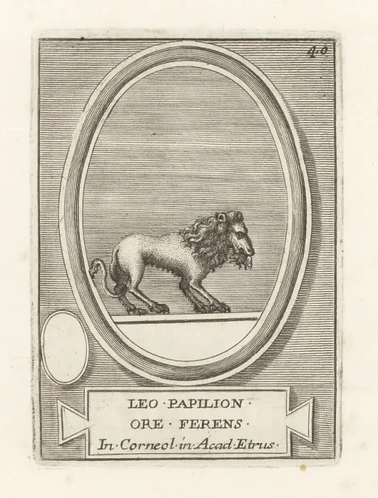 Framed Print : A lion holding a butterfly in its mouth Framed Print : A lion holding a butterfly in its mouth