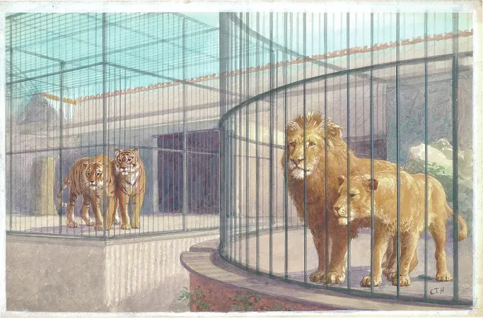 Framed Print : The Lion House at London Zoo Framed Print : The Lion House at London Zoo