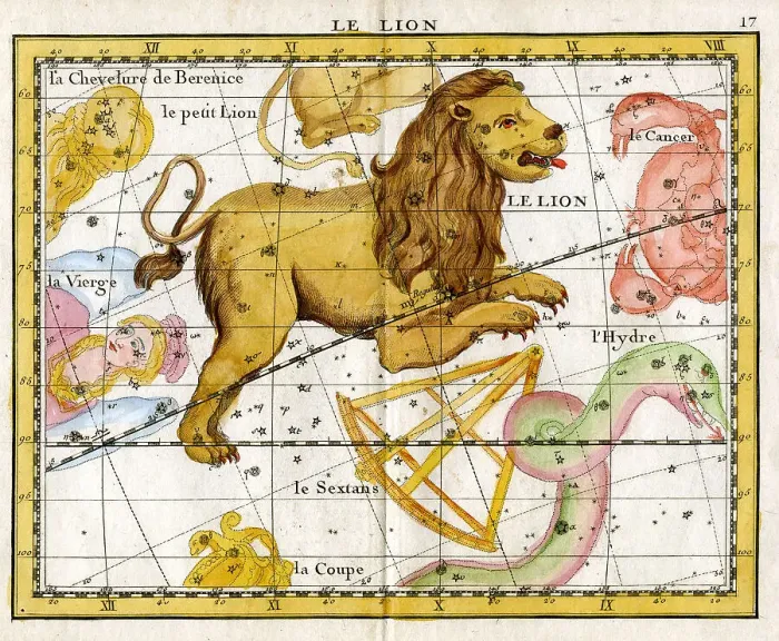 Framed Print : Lion - Leo Framed Print : Lion - Leo