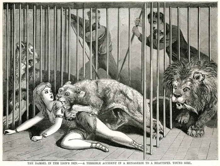 Framed Print : Lion mauling woman 1870 Framed Print : Lion mauling woman 1870