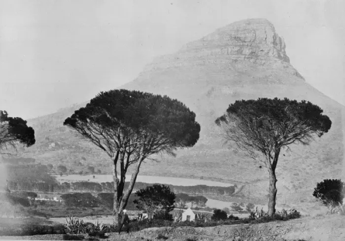 Framed Print : Lions Head, South Africa Framed Print : Lions Head, South Africa