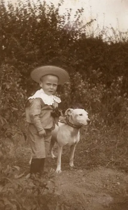 Framed Print : Little boy with a bull terrier in a garden Framed Print : Little boy with a bull terrier in a garden