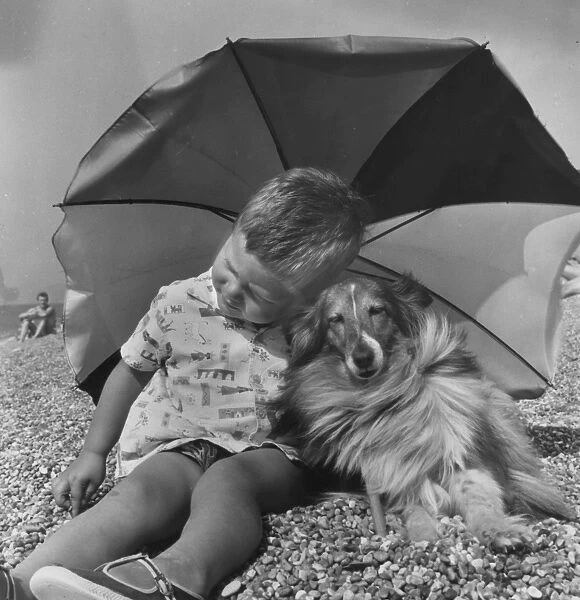 Little boy and Collie dog with parasol on a pebbly beach