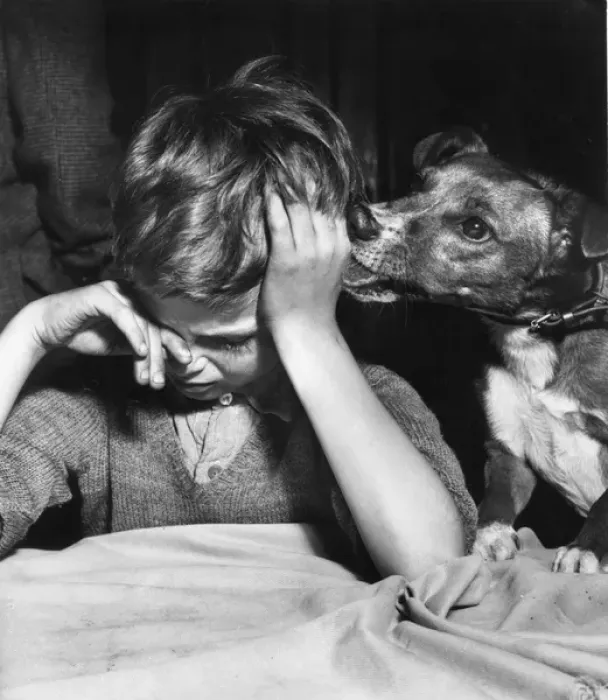 Framed Print : Little boy and his dog Framed Print : Little boy and his dog