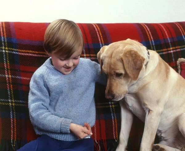 Little boy and labrador dog