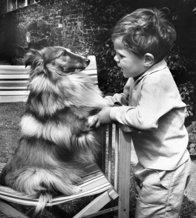 Framed Print : Little boy with pet dog in a garden Framed Print : Little boy with pet dog in a garden