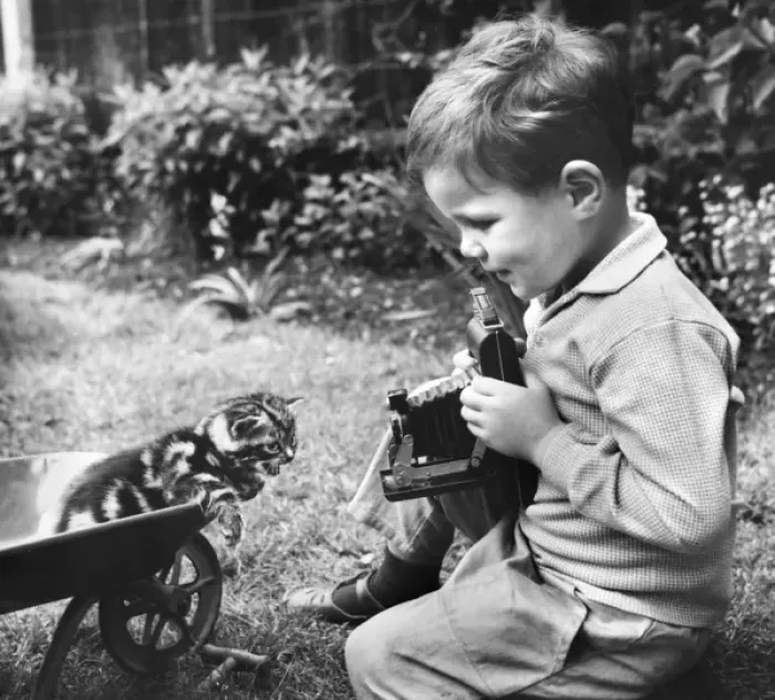 Framed Print : Little boy photographing a kitten in a garden Framed Print : Little boy photographing a kitten in a garden
