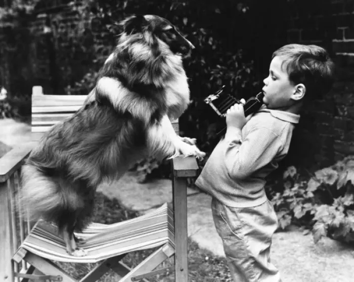 Framed Print : Little boy photographing pet dog in a garden Framed Print : Little boy photographing pet dog in a garden