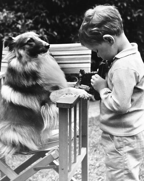 Little boy photographing pet dog in a garden