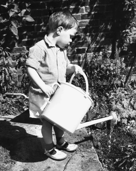 Framed Print : Little boy watering the garden Framed Print : Little boy watering the garden