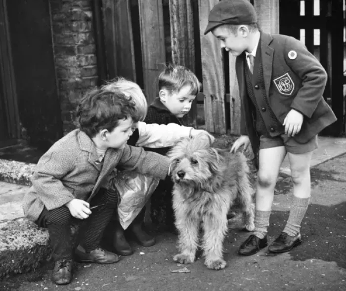 Framed Print : Little boys with dog, Balham, SW London Framed Print : Little boys with dog, Balham, SW London