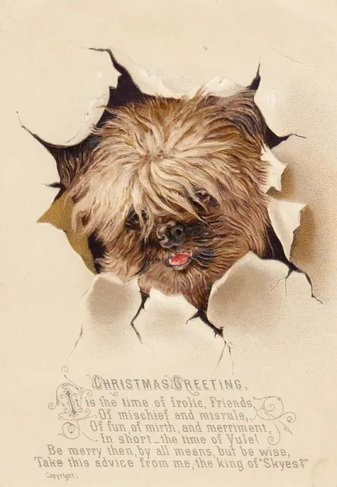 Framed Print : Little dog breaking through paper on a Christmas card Framed Print : Little dog breaking through paper on a Christmas card