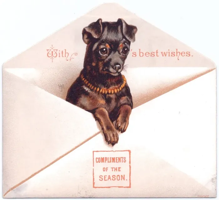 Framed Print : Little dog in an envelope on a Christmas card Framed Print : Little dog in an envelope on a Christmas card