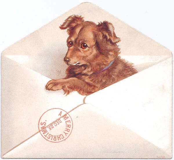 Little dog in an envelope on a Christmas card