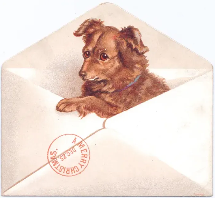 Framed Print : Little dog in an envelope on a Christmas card Framed Print : Little dog in an envelope on a Christmas card