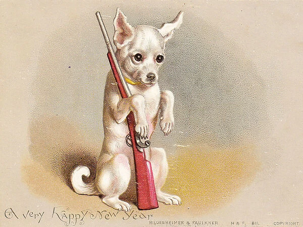 Little dog with toy gun on a New Year card