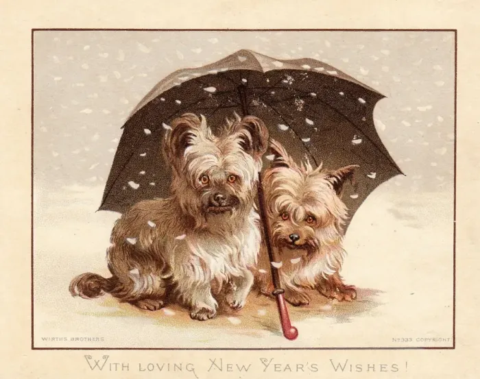 Framed Print : Two little dogs in the snow on a New Year card Framed Print : Two little dogs in the snow on a New Year card