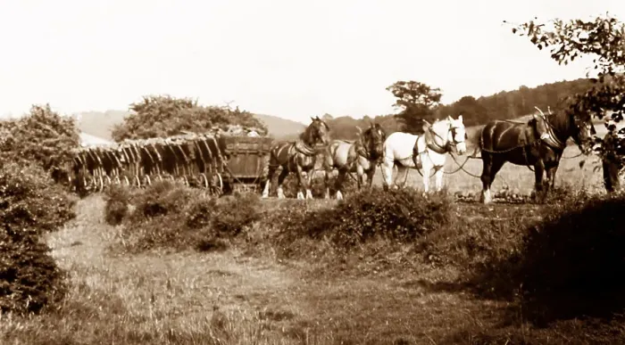 Framed Print : Little Eaton and Denby Coal Gangway Framed Print : Little Eaton and Denby Coal Gangway