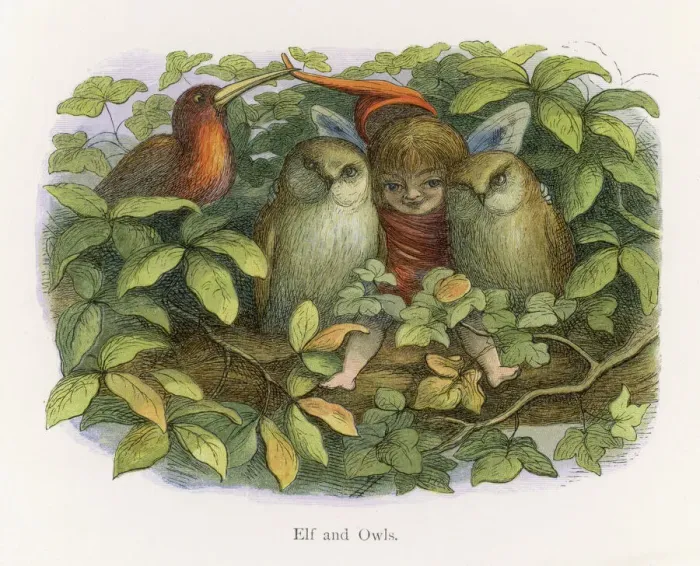 Framed Print : Little Folk / Elves Framed Print : Little Folk / Elves