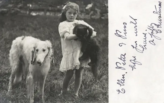 Framed Print : Little girl with a cat and a dog in a garden Framed Print : Little girl with a cat and a dog in a garden