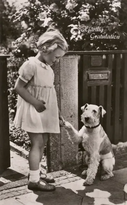 Framed Print : Little girl and dog on a greetings postcard, Sweden Framed Print : Little girl and dog on a greetings postcard, Sweden