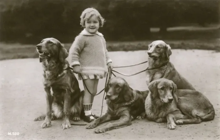 Framed Print : Little girl and four dogs in a garden Framed Print : Little girl and four dogs in a garden
