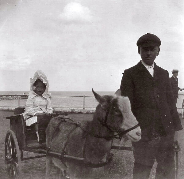 Little girl in a donkey cart, Southwold, Suffolk
