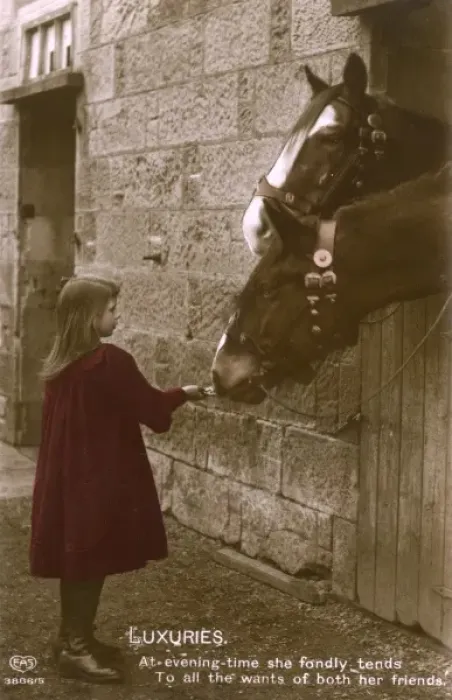 Framed Print : Little Girl feeds her two horses in the stables Framed Print : Little Girl feeds her two horses in the stables