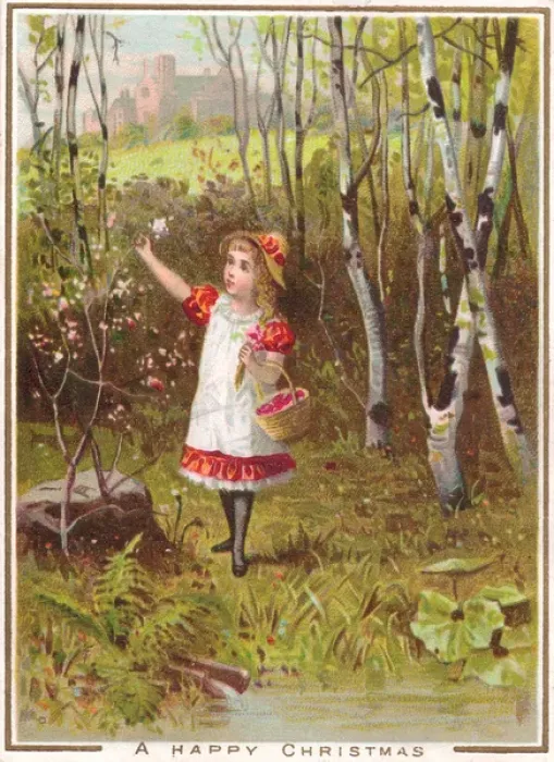 Framed Print : Little girl gathering flowers on a Christmas card Framed Print : Little girl gathering flowers on a Christmas card