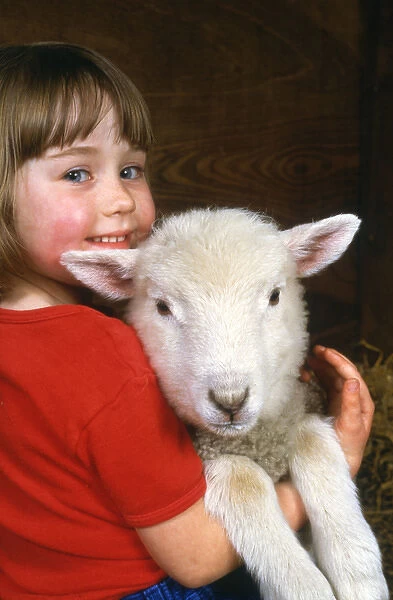Little girl holding a lamb