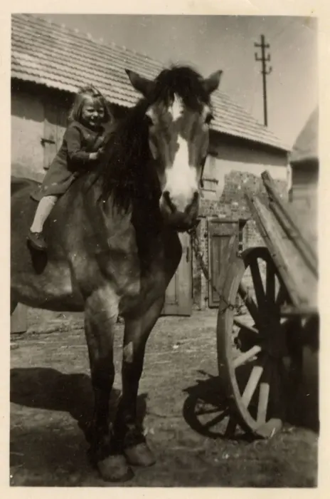 Framed Print : Little Girl on a large horse