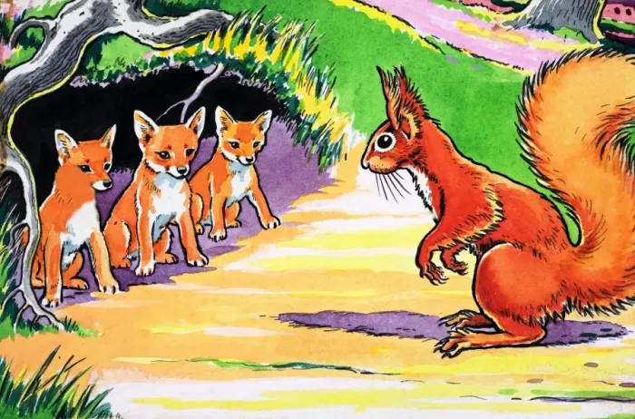 Framed Print : Little Red Squirrel Framed Print : Little Red Squirrel