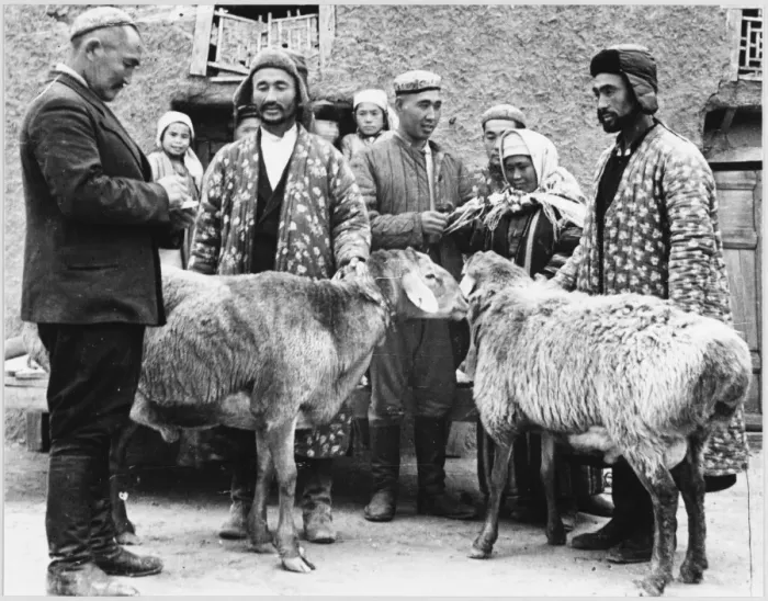Framed Print : Livestock for Ukraine Framed Print : Livestock for Ukraine