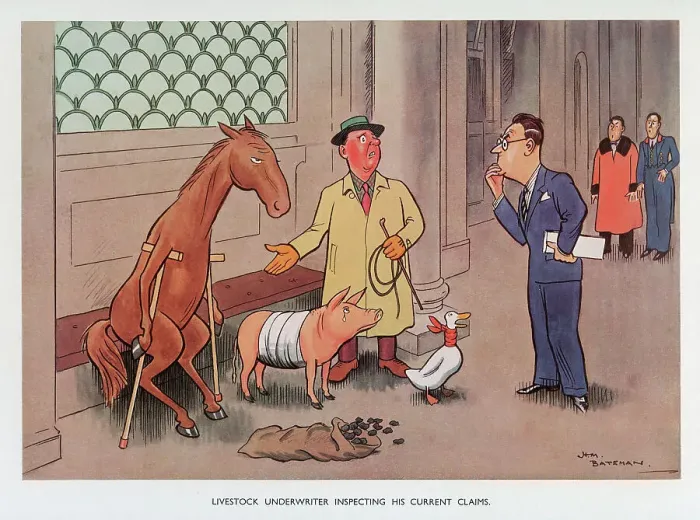 Framed Print : Livestock Underwriter inspecting his current claims Framed Print : Livestock Underwriter inspecting his current claims