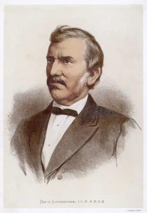 Framed Print : Livingstone (Anon)