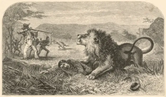 Framed Print : Livingstone and Lion Framed Print : Livingstone and Lion