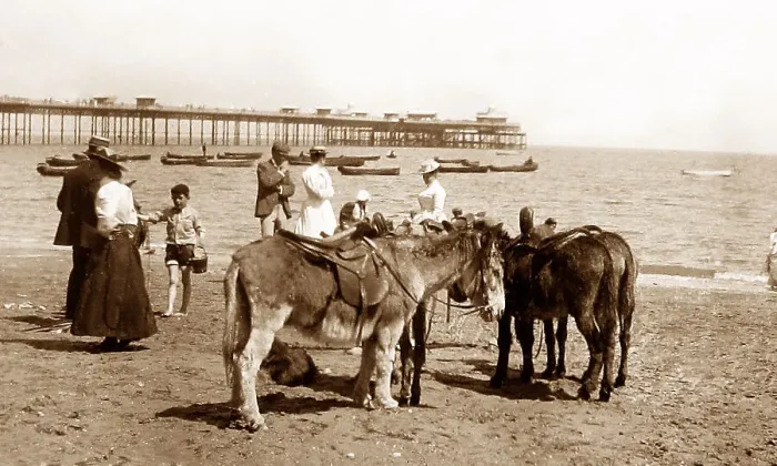 Framed Print : Llandudno beach donkeys Victorian period Framed Print : Llandudno beach donkeys Victorian period