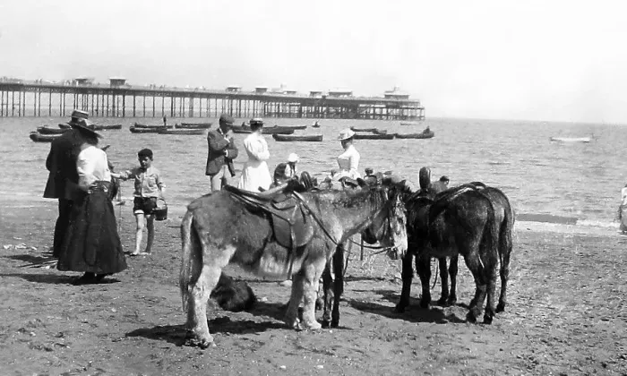 Framed Print : Llandudno Pier and donkeys Framed Print : Llandudno Pier and donkeys