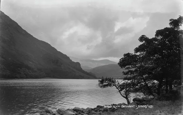 Framed Print : Llyn Gwynant Landscape Framed Print : Llyn Gwynant Landscape