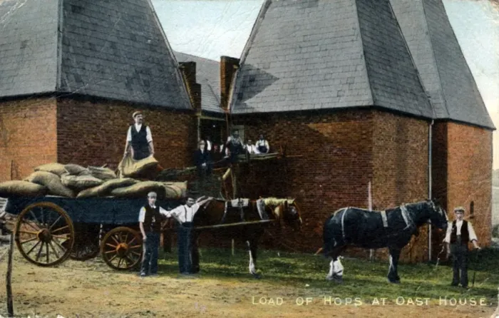 Framed Print : Load of Hops at Oast House, Kent Framed Print : Load of Hops at Oast House, Kent
