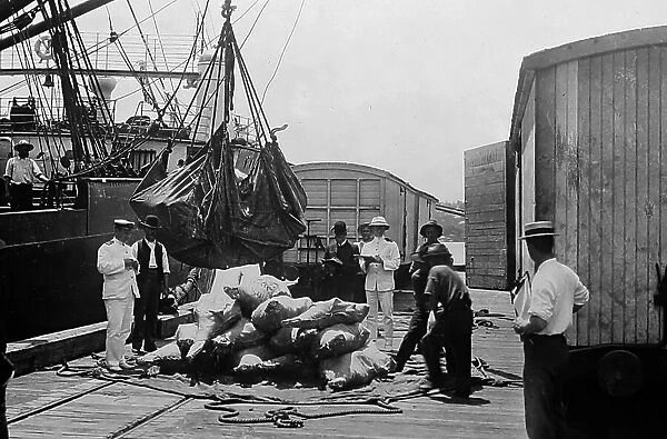 Loading beef for export, Brisbane, Australia, early 1900s