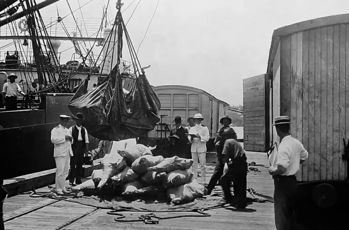 Framed Print : Loading beef for export, Brisbane, Australia, early 1900s Framed Print : Loading beef for export, Brisbane, Australia, early 1900s