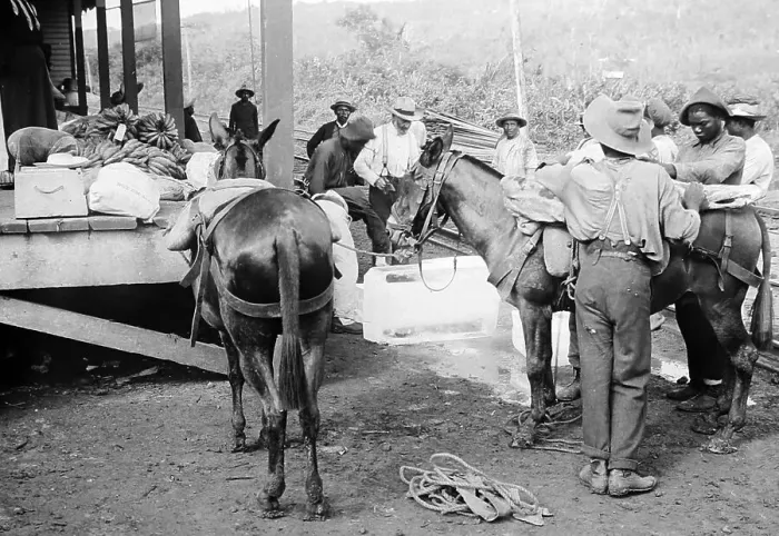 Framed Print : Loading beef and ice at Culebra Railway Station in Panama Framed Print : Loading beef and ice at Culebra Railway Station in Panama