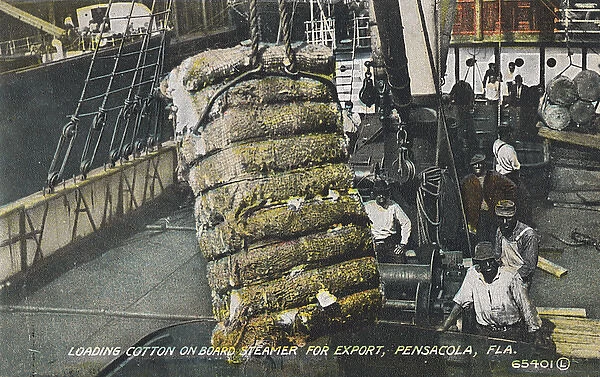 Loading cotton, Pensacola, Florida, USA