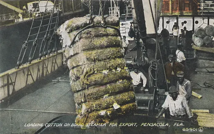 Framed Print : Loading cotton, Pensacola, Florida, USA Framed Print : Loading cotton, Pensacola, Florida, USA